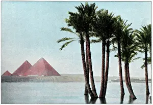 Gizeh: THE NILE IN FLOOD