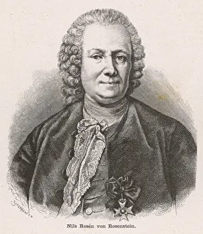 Rosin: NILS VON ROSENSTEIN