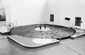 Reactor: Nnuclear power plant
