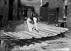 Drying: No.5 Partially Drying Clay Pipes in the Sun