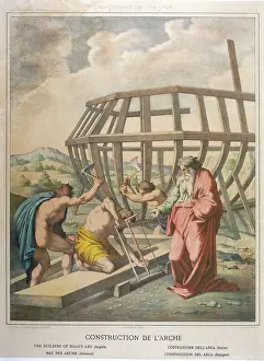 Builds: NOAH BUILDS THE ARK