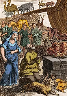 Covenant: Noah Preparing First Sacrifice After Flood