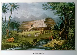 Emergencies: Noah's Ark