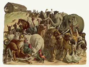 Emerge: Noah's Ark
