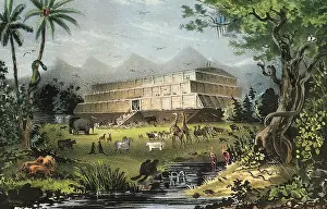 Noahs: Noah's Ark