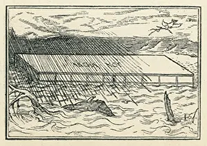 Noahs: NOAHS ARK (HOLBEIN)
