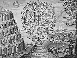 Derive: NOAH'S DESCENDANTS