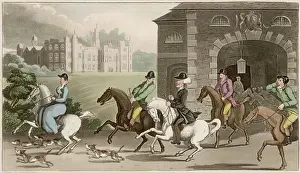 Foxhounds: A noble hunting party