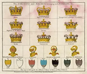 Reproduced: NOBLEFOLK'S CORONETS