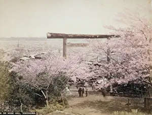 Torii: Noge Hill, Yokohama