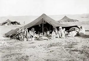 Algerian: Nomad camp, Algerian Sahara, circa 1890
