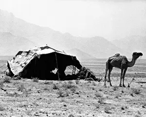 Afghans: Nomadic tents can be seen in a mountainous ?