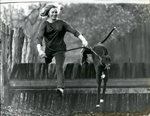 Nora: Nora McEllistrim training greyhound puppy, Nora's First