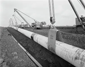 Ditches: Norfolk