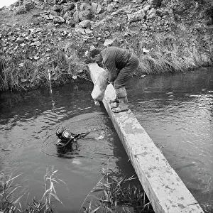 Ditches: Norfolk