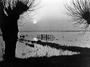 Overflow: NORFOLK BROADS FLOODS