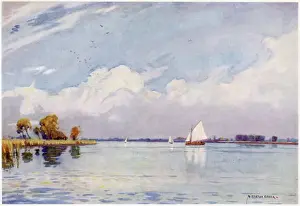 Broads: NORFOLK BROADS/HICKLING