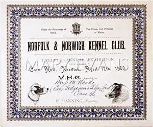 Commended: NORFOLK DOG SHOW PRIZE