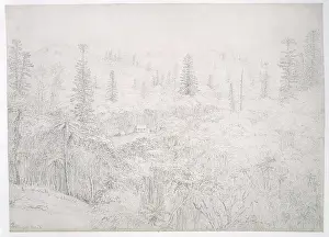 Melanesia: Norfolk Island drawing 4