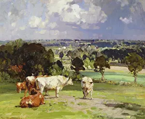 Arnesby: A Norfolk Landscape ' with cattle