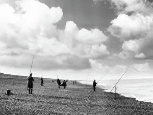 Sheringham: NORFOLK SEA ANGLERS