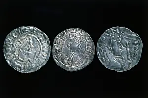 Blois: Norman coins
