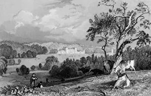 Rutland: Normanton Park, Rutland