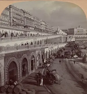 Berber: North Africa, Algiers, 1902