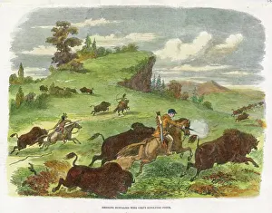 Revolver: North America Buffalo Hunt