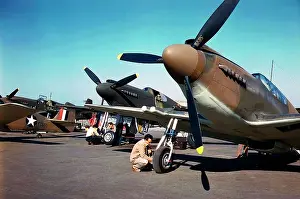Single Seat: North American Aviation P-51 'Apache'