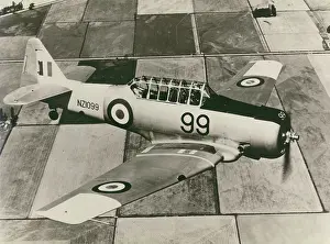 Harvard: North American Harvard, NZ1099