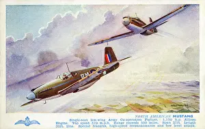 Single Seat: North American Mustang