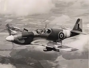 Mustang: North American Mustang I