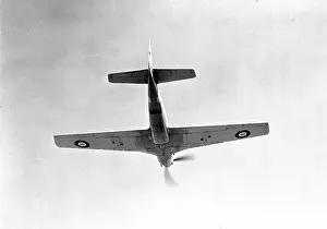 Mustang: North American Mustang I