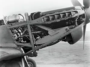 P 51: North American P-51 Mustang