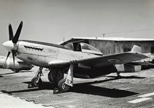 P 51d: North American P-51D Mustang