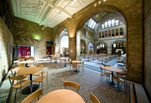 Cafeteria: North hall cafeteria