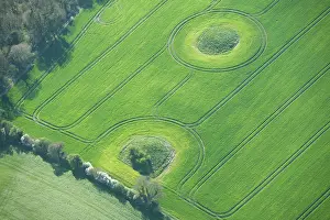 Barrows: North Hill, Winterbourne Steepleton, Dorset