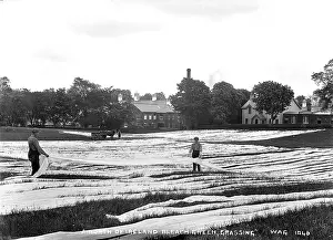 Bleach: A North of Ireland Bleach Green, Grassing