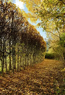 Broadwater: North Orbital Road, Broadwater Park, Denham, Buckinghamshire