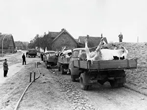 Amounted: The North Sea Flood Of 1962