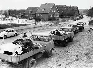 Amounted: The North Sea Flood Of 1962