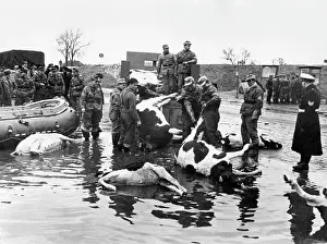 Amounted: The North Sea Flood Of 1962