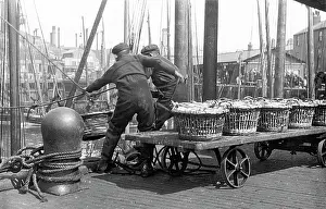 North Shields Landing the Herring early 1900s