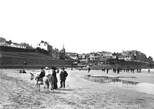 Donkeys: On the North Strand, Portrush