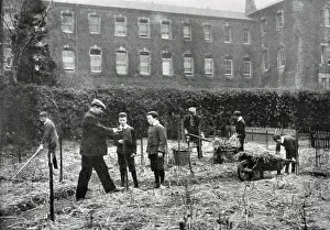 Paupers: North Surrey District School - Gardening