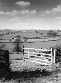 Thro: NORTHANTS FIELDS