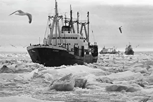 Strait: Norther Sea Route