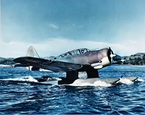 Northrop N-3PB -only 24 built for Norway and based in I?