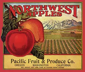 Towering: Northwest Apple Label